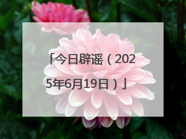 今日辟谣（2025年6月19日）