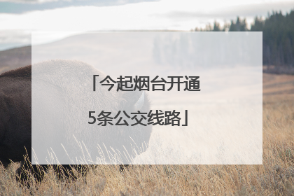今起烟台开通5条公交线路