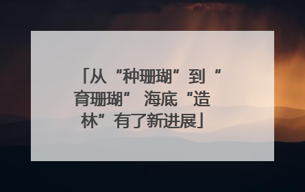 从“种珊瑚”到“育珊瑚” 海底“造林”有了新进展
