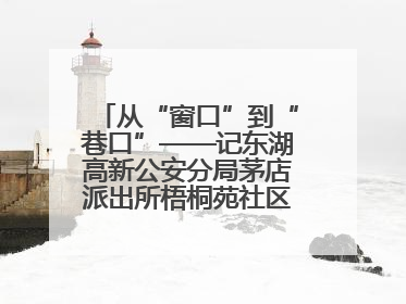 从“窗口”到“巷口”——记东湖高新公安分局茅店派出所梧桐苑社区民警樊艳玲