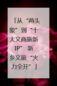从“两头象”到“十大文商旅新IP” 新乡文旅“火力全开”
