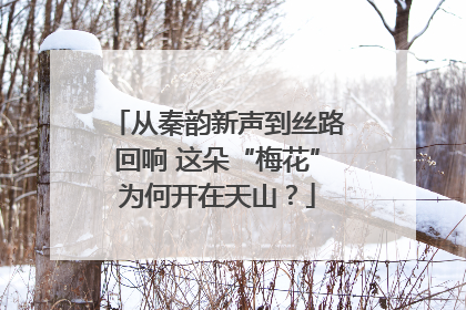 从秦韵新声到丝路回响 这朵“梅花”为何开在天山？
