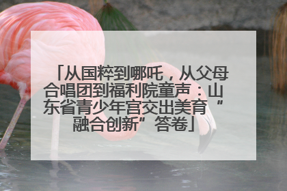 从国粹到哪吒，从父母合唱团到福利院童声：山东省青少年宫交出美育“融合创新”答卷