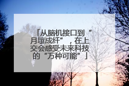 从脑机接口到“月壤成纤”，在上交会感受未来科技的“万种可能”
