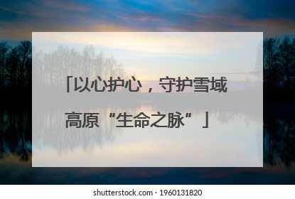 以心护心，守护雪域高原“生命之脉”