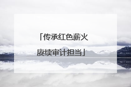 传承红色薪火 赓续审计担当