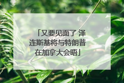 又要见面了 泽连斯基将与特朗普在加拿大会晤