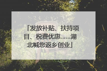 发放补贴、扶持项目、税费优惠……湖北喊您返乡创业