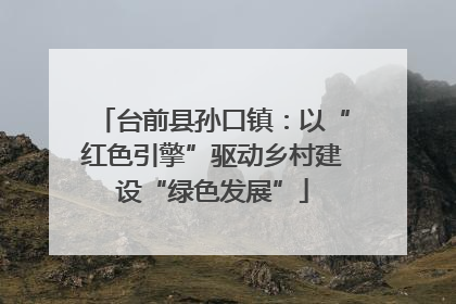 台前县孙口镇：以“红色引擎”驱动乡村建设“绿色发展”