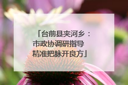 台前县夹河乡：市政协调研指导 精准把脉开良方