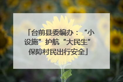 台前县委编办：“小设施”护航“大民生” 保障村民出行安全