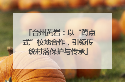 台州黄岩：以“蹲点式”校地合作，引领传统村落保护与传承