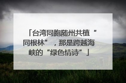 台湾同胞随州共植“同根林”，那是跨越海峡的“绿色情诗”