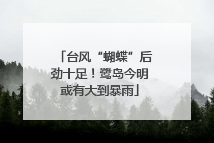 台风“蝴蝶”后劲十足！鹭岛今明或有大到暴雨