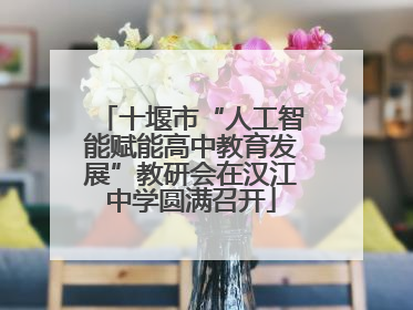 十堰市“人工智能赋能高中教育发展”教研会在汉江中学圆满召开