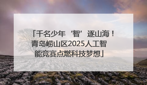 千名少年‘智’逐山海！青岛崂山区2025人工智能竞赛点燃科技梦想