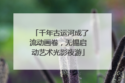 千年古运河成了流动画卷，无锡启动艺术光影夜游
