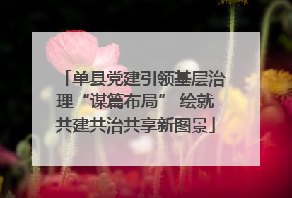 单县党建引领基层治理“谋篇布局” 绘就共建共治共享新图景