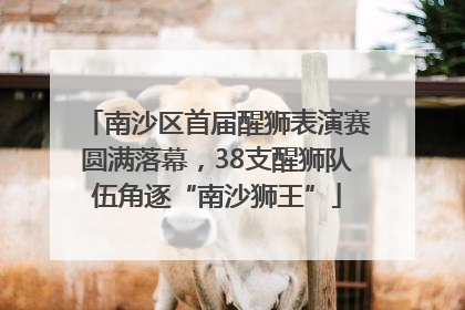 南沙区首届醒狮表演赛圆满落幕，38支醒狮队伍角逐“南沙狮王”