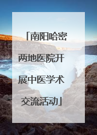 南阳哈密两地医院开展中医学术交流活动
