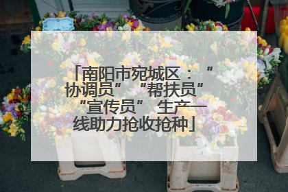 南阳市宛城区：“协调员”“帮扶员”“宣传员” 生产一线助力抢收抢种