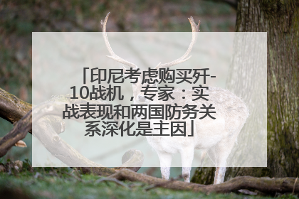 印尼考虑购买歼-10战机，专家：实战表现和两国防务关系深化是主因