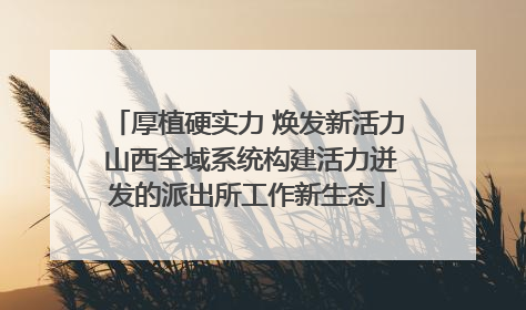 厚植硬实力 焕发新活力 山西全域系统构建活力迸发的派出所工作新生态