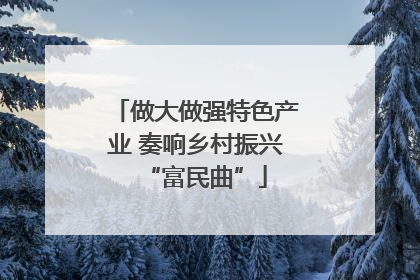 做大做强特色产业 奏响乡村振兴“富民曲”