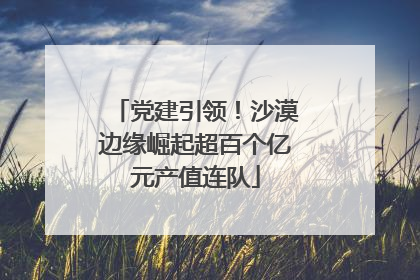 党建引领！沙漠边缘崛起超百个亿元产值连队