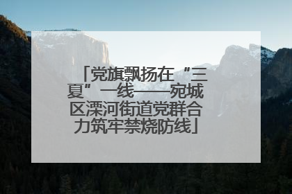 党旗飘扬在“三夏”一线——宛城区溧河街道党群合力筑牢禁烧防线