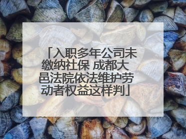 入职多年公司未缴纳社保 成都大邑法院依法维护劳动者权益这样判