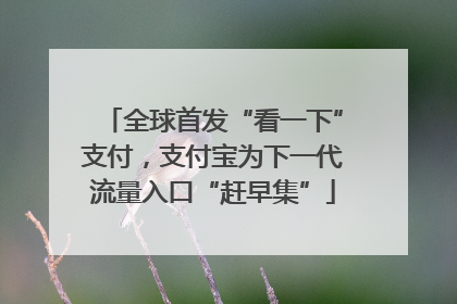 全球首发“看一下”支付，支付宝为下一代流量入口“赶早集”