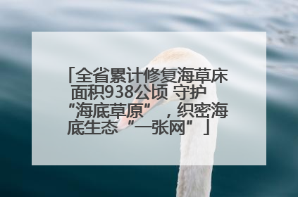 全省累计修复海草床面积938公顷 守护“海底草原”，织密海底生态“一张网”