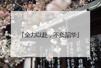全力以赴，不负韶华
