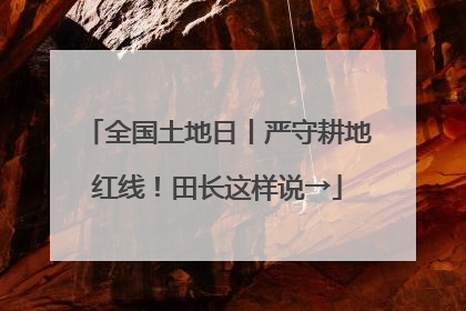 全国土地日丨严守耕地红线！田长这样说→