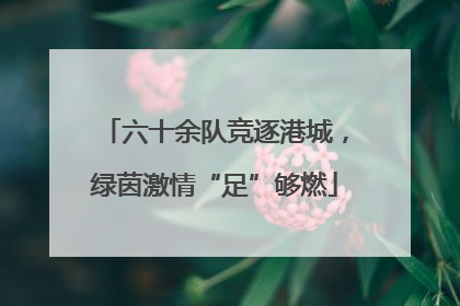 六十余队竞逐港城，绿茵激情“足”够燃