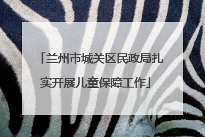 兰州市城关区民政局扎实开展儿童保障工作