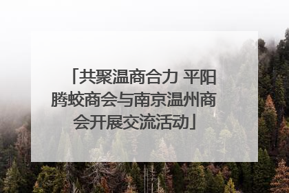 共聚温商合力 平阳腾蛟商会与南京温州商会开展交流活动