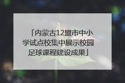 内蒙古12盟市中小学试点校集中展示校园足球课程建设成果