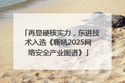 再显硬核实力，东进技术入选《嘶吼2025网络安全产业图谱》