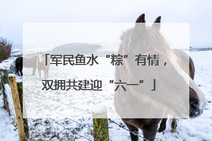 军民鱼水“粽”有情，双拥共建迎“六一”
