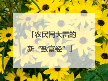 农民闫大雷的新“致富经”