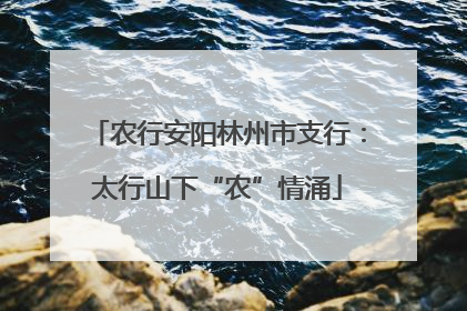 农行安阳林州市支行：太行山下“农”情涌