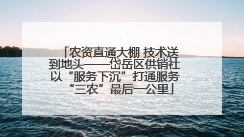 农资直通大棚 技术送到地头——岱岳区供销社以“服务下沉”打通服务“三农”最后一公里