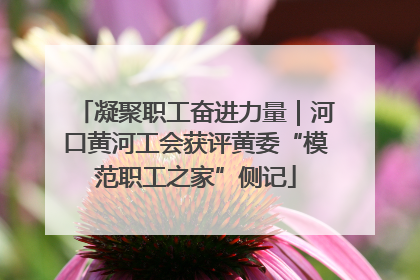 凝聚职工奋进力量｜河口黄河工会获评黄委“模范职工之家”侧记