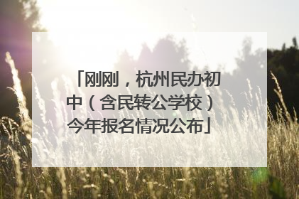 刚刚，杭州民办初中（含民转公学校）今年报名情况公布