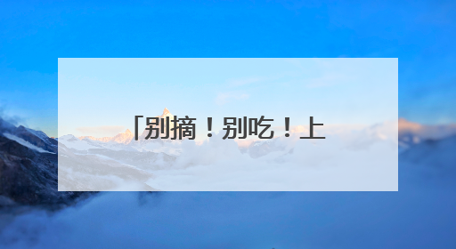 别摘！别吃！上海街头大量出现“红果果”，很多人忍不住了……