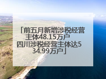 前五月新增涉税经营主体48.15万户 四川涉税经营主体达534.99万户