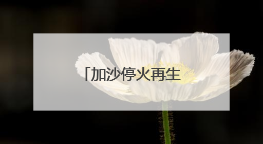 加沙停火再生变数：以色列“接受”美方案、哈马斯不认可