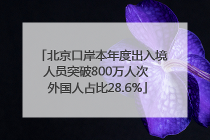北京口岸本年度出入境人员突破800万人次 外国人占比28.6%